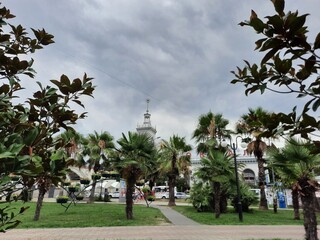 Fototapeta premium park
