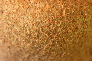 Blurred background of kiwi peel. Macro photography