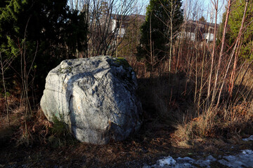 One big gray rock outside in nature. A sunny day. Plenty of trees and bushes. Swedish urban area. Houses in the background. Stockholm, Sweden.