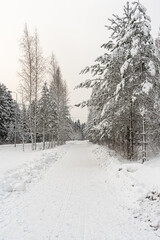 Snowy road. Concept, attention danger on the road
