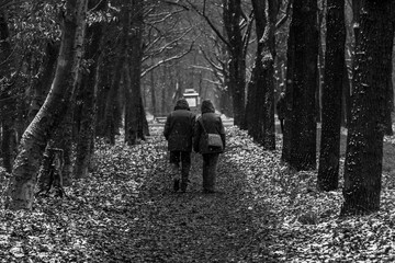 A couple goes for a walk while it is snowing, a couple walks in the snow, light snowfall, black and white photo