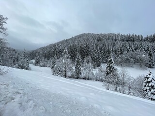 Nahe des Zentrums von Baiersbronn im Schwarzwald ist das Sankenbachtal noch recht breit. Später wird es enger.