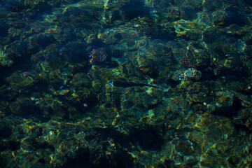 calm mediterranean sea, water
