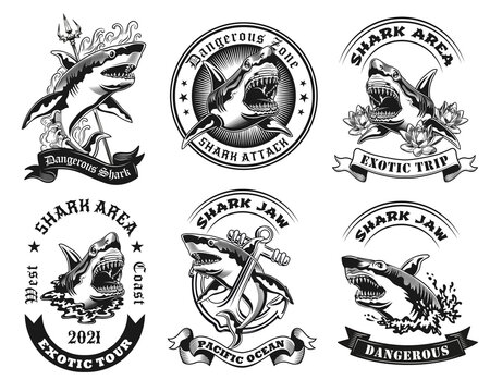 Vintage badges with shark zone alert vector illustration set. Monochrome labels with dangerous ocean predator. Wildlife and sea mammals concept can be used for retro template
