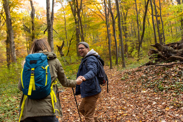 Lovers holding hands and walking through the forest