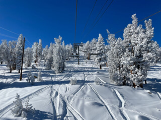 View of the chairlift, trees and slopes at a ski resort in Tahoe on a bluebird winter day