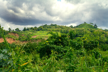 Landscape with vegetation and sky