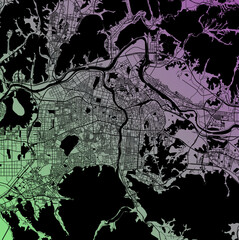 Daegu, Taegu-gwangyoksi, Korea, South (KOR) - Urban vector megacity map with parks, rail and roads, highways, minimalist town plan design poster, city center, downtown, transit network