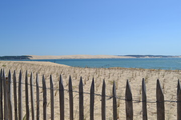 Obraz premium fence and dunes