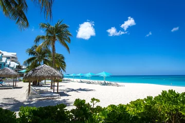 Wallpaper murals Seven Mile Beach, Grand Cayman Grand Cayman Beach Deck Chairs Blue Umbrellas On Water's Edge.Caribbean, Grand Cayman, Seven Mile Beach, Cayman Islands, Palm Trees. Empty beach, No tourists