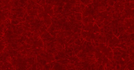 Coronavirus cells. Group of viruses that cause respiratory infections. 3D rendering 3D illustration 3D rendering