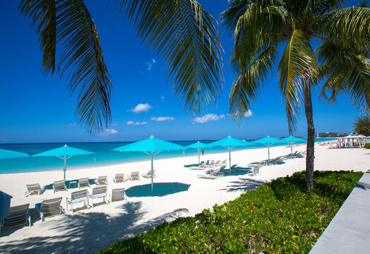 Grand Cayman Beach Deck Chairs Blue Umbrellas On Water's Edge.Caribbean, Grand Cayman, Seven Mile Beach, Cayman Islands, Palm Trees. Empty beach, No tourists