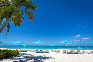 Grand Cayman Beach ligstoelen blauwe parasols aan de rand van het water. Caribbean, Grand Cayman, Seven Mile Beach, Kaaimaneilanden, palmbomen. Leeg strand, geen toeristen