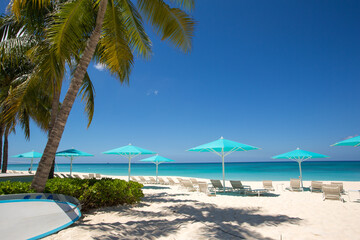 Grand Cayman Beach Deck Chairs Blue Umbrellas On Water's Edge.Caribbean, Grand Cayman, Seven Mile Beach, Cayman Islands, Palm Trees. Empty beach, No tourists