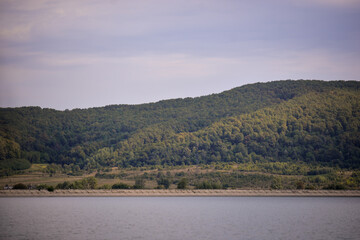 green forest reflecting in the luster of the lake