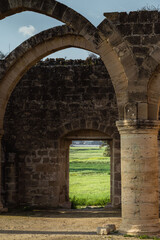 Fototapeta na wymiar Door in the ruins