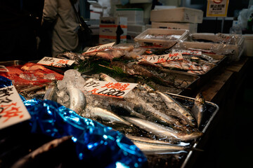 fish produce on display at Tsukiji Fish Market