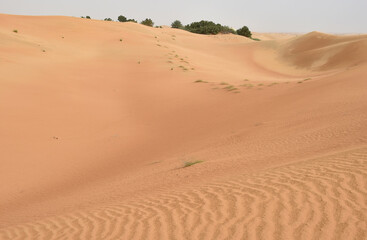 Fototapeta na wymiar Wüstenlandschaft 