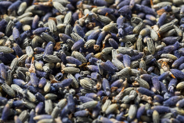 Homemade Purple Lavender Herbs