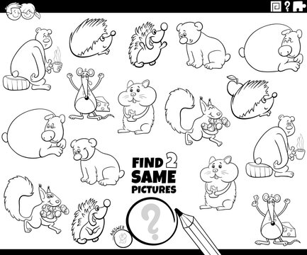 find two same animal characters task coloring book page