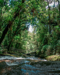 Obraz premium Cachoeira