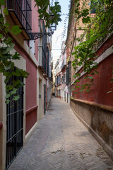 Calles en el Barrio Judío de Sevilla
