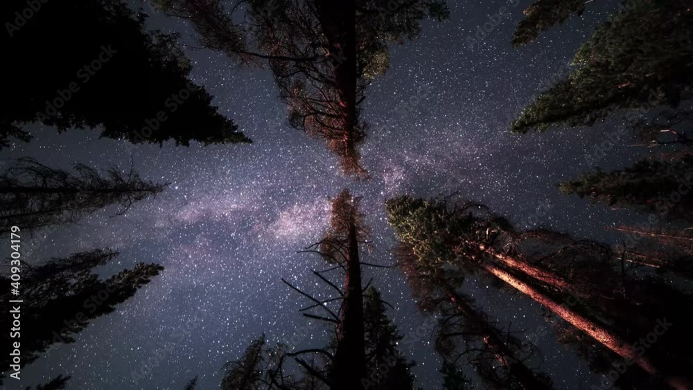 Wall mural an overnight time lapse of a hammock view looking up as the milky way and stars pass across the tree