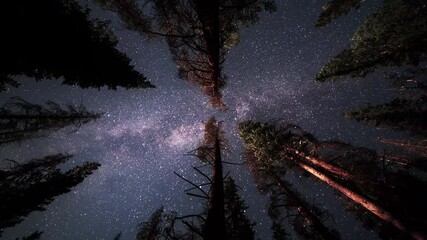 An overnight time lapse of a hammock view looking up as the milky way and stars pass across the trees in the night sky.   - Powered by Adobe