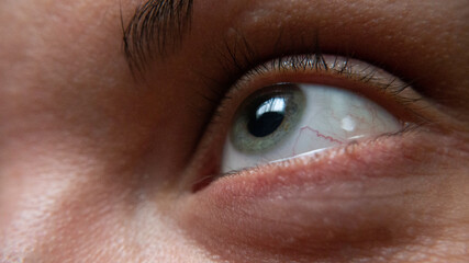 Obraz premium The green human eye up close.