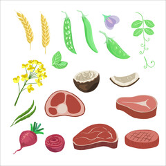 Vegan sources of protein. Plant based meat ngredients in cartoon style. Peas and beet, wheat and rapeseed oil, coconut oil, vector illustration