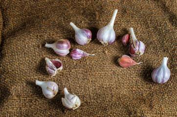 heads of garlic on burlap. Rustic style