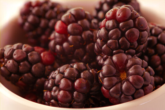 blackberries close up