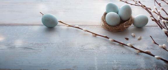 Tender blue easter eggs with pussy willow on gray vintage planks. Horizontal background for easter...