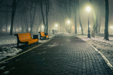 Alley of a night winter park in a fog. Footpath in a fabulous winter city park at night in fog with...