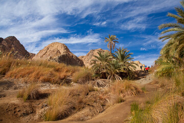 mountains in the desert