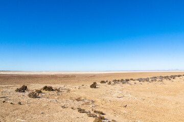 Fototapeta na wymiar Desert Roadtrip