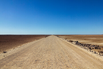 Desert Roadtrip