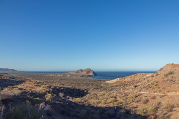 Fototapeta premium Desert Roadtrip