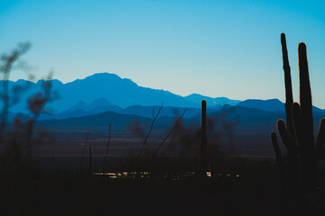 Arizona Mountains