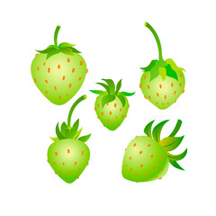 Green strawberries set