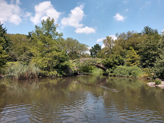 Fototapeta premium lake and trees