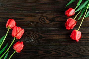 Composition with red tulips on a dark wooden background for March 8 . greeting card with space for text