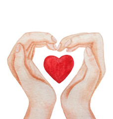Fototapeta premium Watercolor Hands and Heart