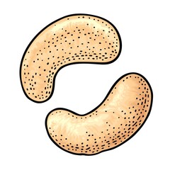 Two whole cashew nuts. Vector engraving black vintage illustration. Isolated on white