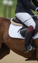 Obraz premium horseback rider riding in show jumping competition close cropped to show proper seat and leg position wearing white jodhpurs riding jacket and english tack with crop and tall black boots
