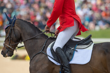 horseback rider riding in show jumping competition close cropped to show proper seat and leg...