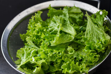 grüne Salatblätter gekräuselt frisch Essen Gesundheit Sieb Edelstahl