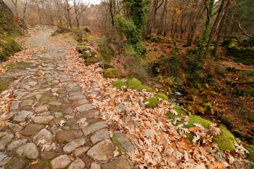 calzada romana en paisaje de otoño en extremadura