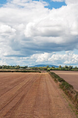 Summertime agricultural landscape in the UK