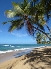 Fototapeta premium Martinique Plage de l'Anse l'étang 
